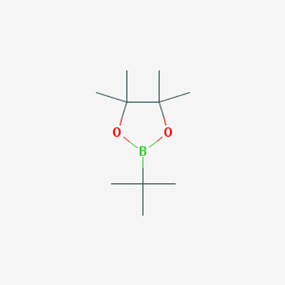 Picture of 2-(tert-Butyl)-4,4,5,5-tetramethyl-1,3,2-dioxaborolane