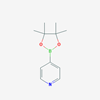 Picture of 4-(4,4,5,5-Tetramethyl-1,3,2-dioxaborolan-2-yl)pyridine