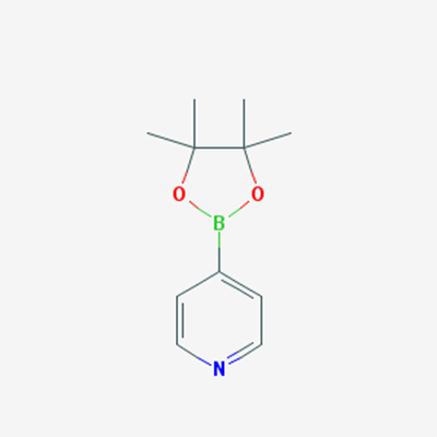 Picture of 4-(4,4,5,5-Tetramethyl-1,3,2-dioxaborolan-2-yl)pyridine