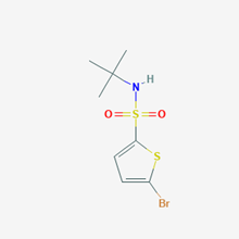Picture of N-tert-Butyl 5-bromo-2-thiophenesulfonamide