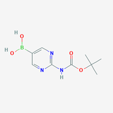Picture of (2-((tert-Butoxycarbonyl)amino)pyrimidin-5-yl)boronic acid