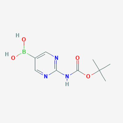 Picture of (2-((tert-Butoxycarbonyl)amino)pyrimidin-5-yl)boronic acid