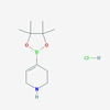 Picture of 4-(4,4,5,5-Tetramethyl-1,3,2-dioxaborolan-2-yl)-1,2,3,6-tetrahydropyridine hydrochloride