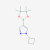 Picture of 1-Cyclobutyl-4-(4,4,5,5-tetramethyl-1,3,2-dioxaborolan-2-yl)-1H-pyrazole