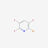 Picture of 2-Bromo-3,5,6-trifluoropyridine