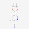Picture of 3-Methyl-5-(4,4,5,5-tetramethyl-1,3,2-dioxaborolan-2-yl)picolinonitrile