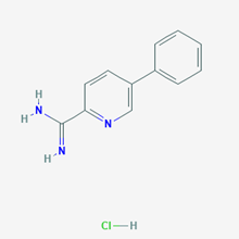 Picture of 5-Phenylpicolinimidamide hydrochloride