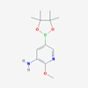 Picture of 2-Methoxy-5-(4,4,5,5-tetramethyl-1,3,2-dioxaborolan-2-yl)pyridin-3-amine