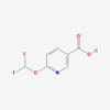 Picture of 6-(Difluoromethoxy)nicotinic acid