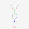 Picture of 4-(5-(4,4,5,5-Tetramethyl-1,3,2-dioxaborolan-2-yl)pyridin-2-yl)morpholine
