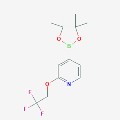 Picture of 4-(4,4,5,5-Tetramethyl-1,3,2-dioxaborolan-2-yl)-2-(2,2,2-trifluoroethoxy)pyridine