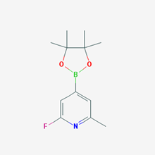 Picture of 2-Fluoro-6-methyl-4-(4,4,5,5-tetramethyl-1,3,2-dioxaborolan-2-yl)pyridine