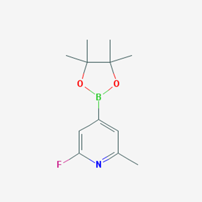 Picture of 2-Fluoro-6-methyl-4-(4,4,5,5-tetramethyl-1,3,2-dioxaborolan-2-yl)pyridine