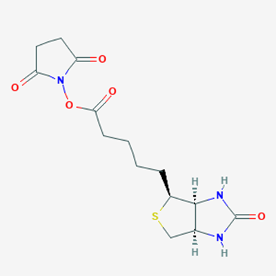 Picture of Biotin NHS