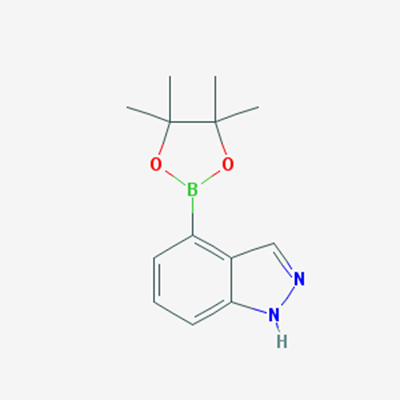 Picture of 4-(4,4,5,5-Tetramethyl-[1,3,2]dioxaborolan-2-yl)-1H-indazole