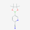 Picture of 5-(4,4,5,5-Tetramethyl-1,3,2-dioxaborolan-2-yl)picolinonitrile
