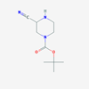 Picture of tert-Butyl 3-cyanopiperazine-1-carboxylate