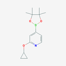 Picture of 2-Cyclopropoxy-4-(4,4,5,5-tetramethyl-1,3,2-dioxaborolan-2-yl)pyridine