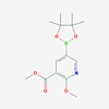 Picture of Methyl 2-methoxy-5-(4,4,5,5-tetramethyl-1,3,2-dioxaborolan-2-yl)nicotinate