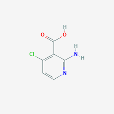 Picture of 2-Amino-4-chloronicotinic acid