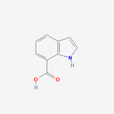 Picture of 1H-Indole-7-carboxylic acid