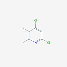 Picture of 4,6-Dichloro-2,3-dimethylpyridine