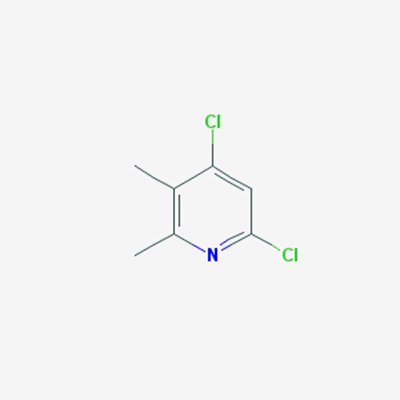Picture of 4,6-Dichloro-2,3-dimethylpyridine