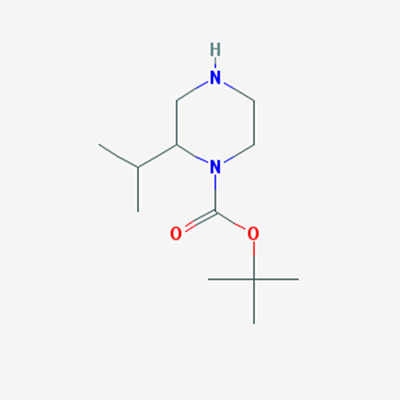 Picture of 1-Boc-2-Isopropylpiperazine