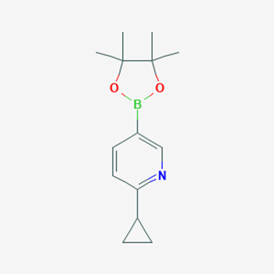 Picture of 2-Cyclopropyl-5-(4,4,5,5-tetramethyl-1,3,2-dioxaborolan-2-yl)pyridine
