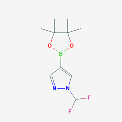 Picture of 1-(Difluoromethyl)-4-(4,4,5,5-tetramethyl-1,3,2-dioxaborolan-2-yl)-1H-pyrazole