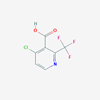 Picture of 4-Chloro-2-(trifluoromethyl)nicotinic acid