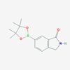 Picture of 6-(4,4,5,5-Tetramethyl-1,3,2-dioxaborolan-2-yl)isoindolin-1-one