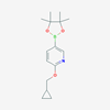 Picture of 2-(Cyclopropylmethoxy)-5-(4,4,5,5-tetramethyl-1,3,2-dioxaborolan-2-yl)pyridine
