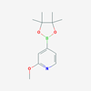 Picture of 2-Methoxy-4-(4,4,5,5-tetramethyl-1,3,2-dioxaborolan-2-yl)pyridine