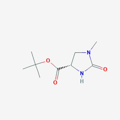 Picture of (S)-tert-Butyl 1-methyl-2-oxoimidazolidine-4-carboxylate