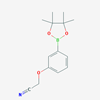 Picture of 2-(3-(4,4,5,5-Tetramethyl-1,3,2-dioxaborolan-2-yl)phenoxy)acetonitrile