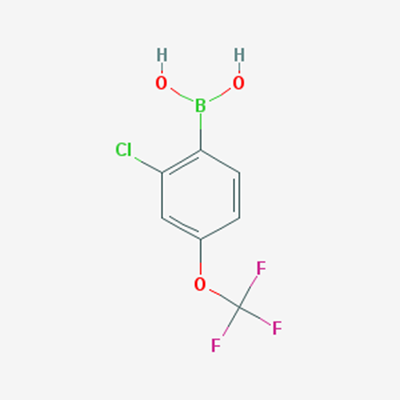 Picture of (2-Chloro-4-(trifluoromethoxy)phenyl)boronic acid