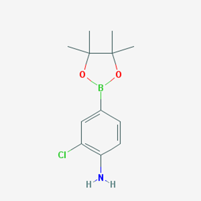 Picture of 2-Chloro-4-(4,4,5,5-tetramethyl-1,3,2-dioxaborolan-2-yl)aniline