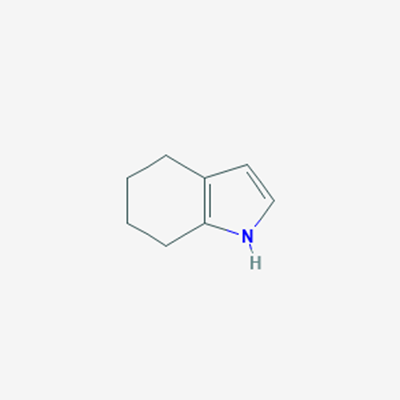 Picture of 4,5,6,7-Tetrahydro-1H-indole