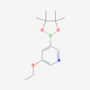 Picture of 3-Ethoxy-5-(4,4,5,5-tetramethyl-1,3,2-dioxaborolan-2-yl)pyridine