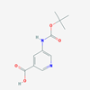 Picture of 5-((tert-Butoxycarbonyl)amino)nicotinic acid