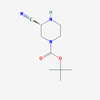 Picture of (R)-tert-Butyl 3-cyanopiperazine-1-carboxylate