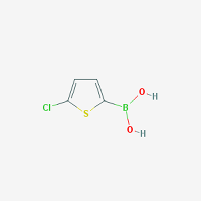 Picture of (5-Chlorothiophen-2-yl)boronic acid