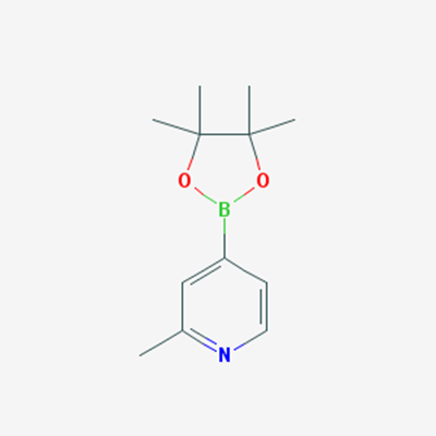 Picture of 2-Methyl-4-(4,4,5,5-tetramethyl-1,3,2-dioxaborolan-2-yl)pyridine