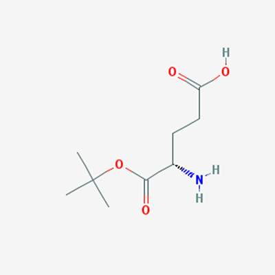 Picture of H-Glu-OtBu
