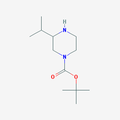 Picture of 1-Boc-3-isopropyl-piperazine
