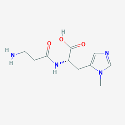 Picture of L-Anserine