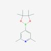 Picture of 2,6-Dimethyl-4-(4,4,5,5-tetramethyl-1,3,2-dioxaborolan-2-yl)pyridine