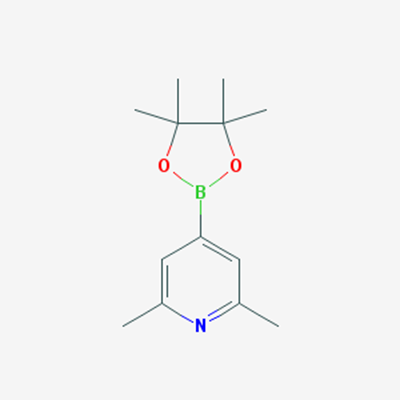 Picture of 2,6-Dimethyl-4-(4,4,5,5-tetramethyl-1,3,2-dioxaborolan-2-yl)pyridine