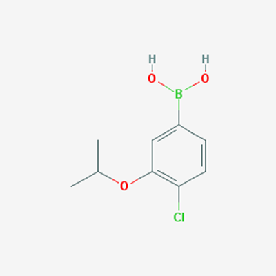 Picture of (4-Chloro-3-isopropoxyphenyl)boronic acid